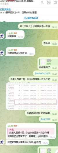 曝光个小作坊做国际支付的，支付名叫Lxpay