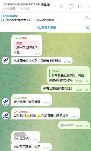 曝光个小作坊做国际支付的，支付名叫Lxpay